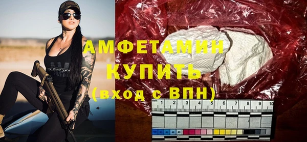 стаф Алексин