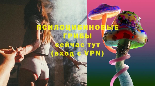 стаф Алексин