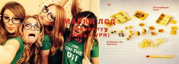 spice Алзамай