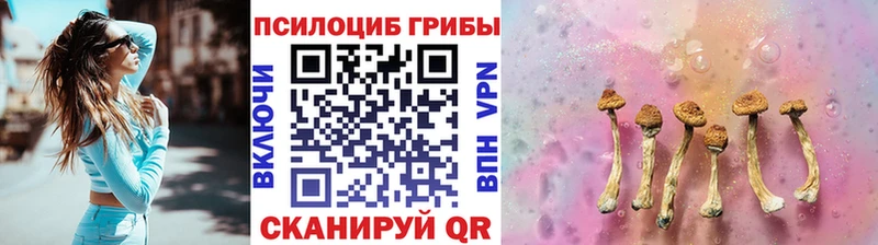 Галлюциногенные грибы GOLDEN TEACHER  Купить где  Чердынь 